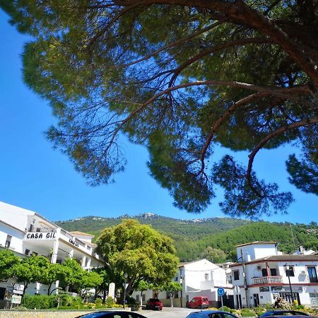 Hotel Venta Julian El Bosque Exterior foto