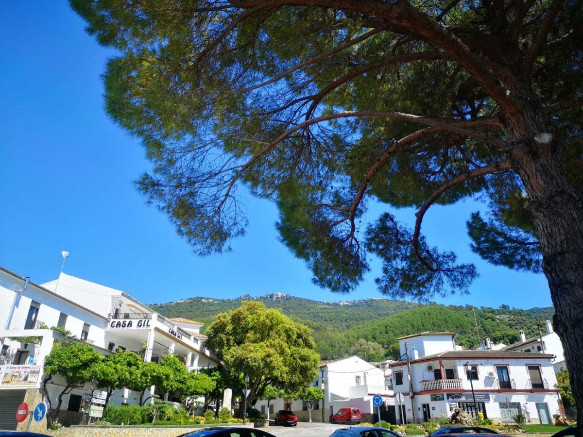 Hotel Venta Julian El Bosque Exterior foto